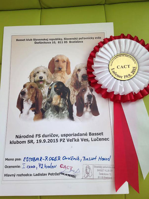 Plants: image 1 0f 20 thumb