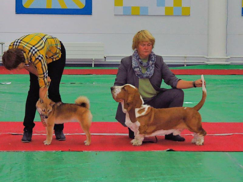 Plants: image 1 0f 20 thumb