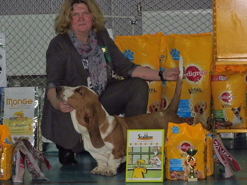 Plants: image 1 0f 20 thumb