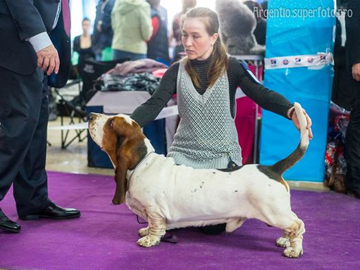 Plants: image 1 0f 20 thumb