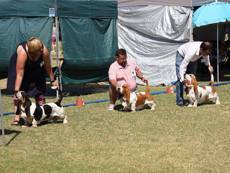 Plants: image 1 0f 20 thumb