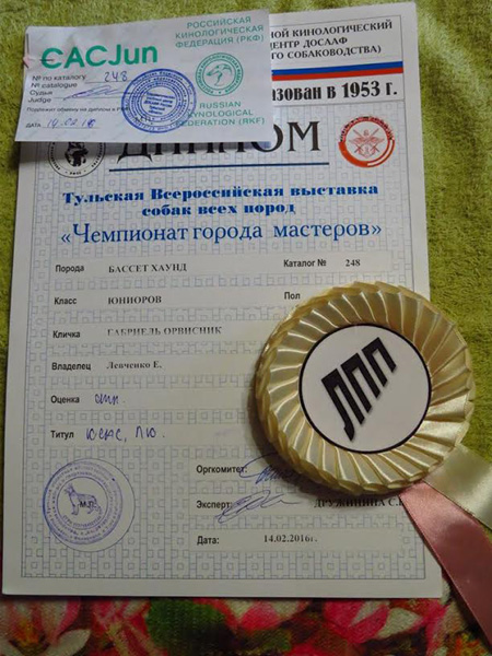 Plants: image 1 0f 20 thumb